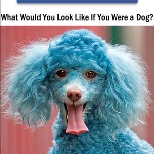 Meet your Posher, Jo